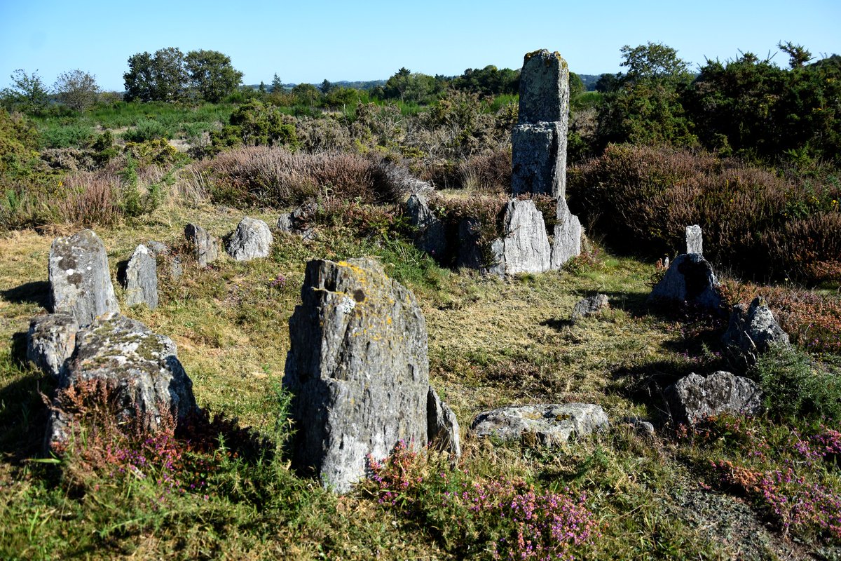 Près du village de St-Just (35) se trouve un des sites mégalithiques majeurs en Bretagne, des tumulus, dolmens, menhirs, allées couvertes, datant du Néolithique, qui s’étendent sur environ 6 kilomètres. Magnifique découverte! @CRT_Bretagne @Magnifique_FR @1001France @Balade_Sympa