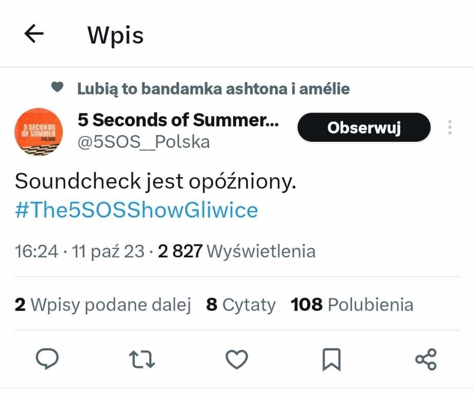 samotnyser's tweet photo. nie mam pytań #The5SOSShowGliwice https://t.co/f3DxAGwi6f