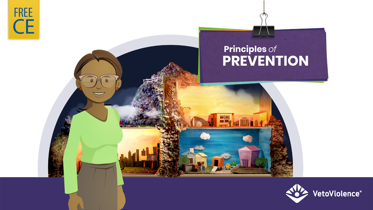Public health professionals: Violence is an urgent public health problem. Learn how a public health approach can lead to safe communities with this training.

Free CE: bit.ly/3LukONH.
@CDCInjury #CDCLearning #VetoViolence