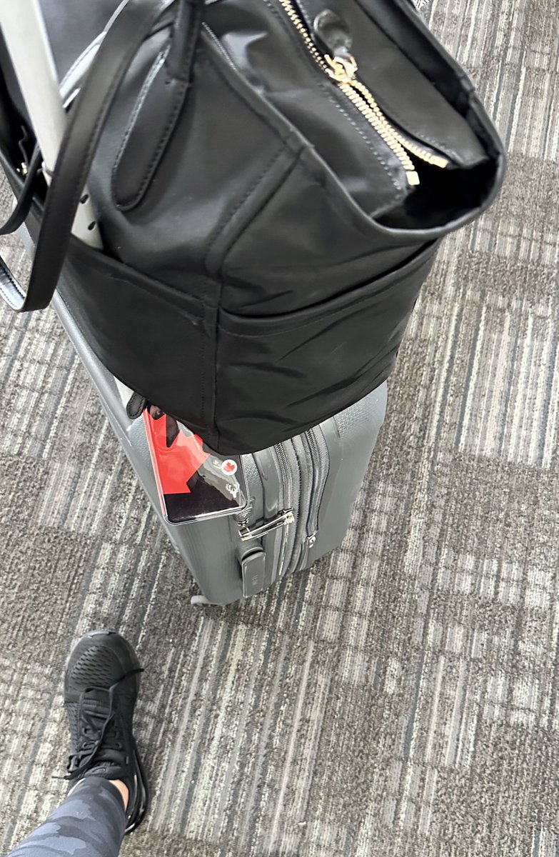 Cdn_Cinderella's tweet photo. On my way 🫶🏼🛫 Next stop- Miami ☀️
@DonnieWahlberg @NKOTB @joeymcintyre  @JonathanRKnight @dannywood &amp; Jordan. See you soon @JoettaMozingo ❤️🎉😎☀️🛳️ https://t.co/0CEUz4qWB9