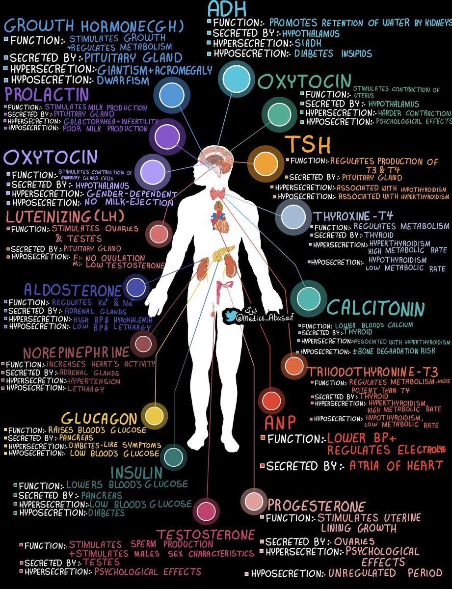 medics_AbuSaif's tweet photo. ملخصاتي عن الهرمونات بالعربي والانجليزي https://t.co/3OZ3VvnqtS