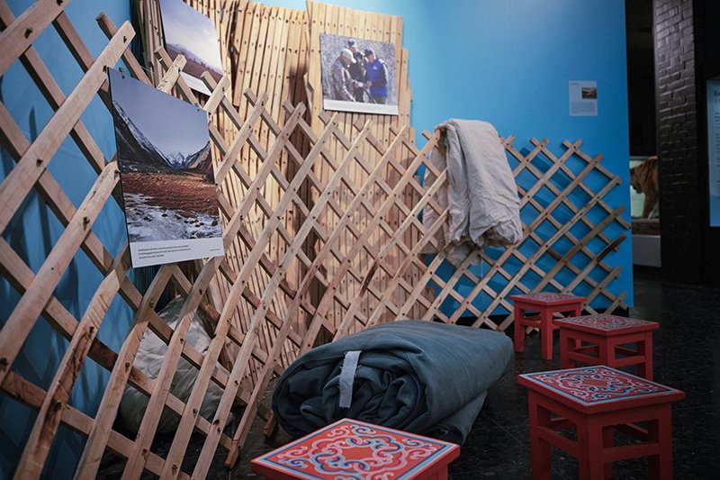 Leibniz_LIB's tweet photo. Ab heute gibt's in Hamburg die Wanderausstellung „Expedition Schneeleo" in der #Zoologie zu sehen! Der @NABU_de und das Museum der Natur Hamburg laden Euch zu einer Reise in das Reich der gefährdeten #Großkatze ein. #AchtungArtenvielfalt #Schneeleopard #Artenschutz @FEdA_Biodiv https://t.co/MlKy3SfVks