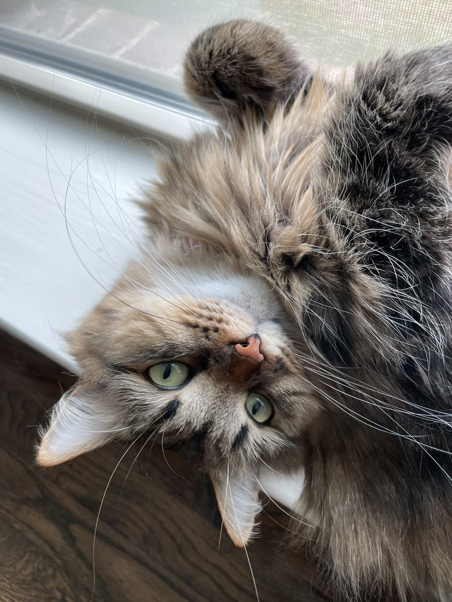 Blake Schofield tweet media