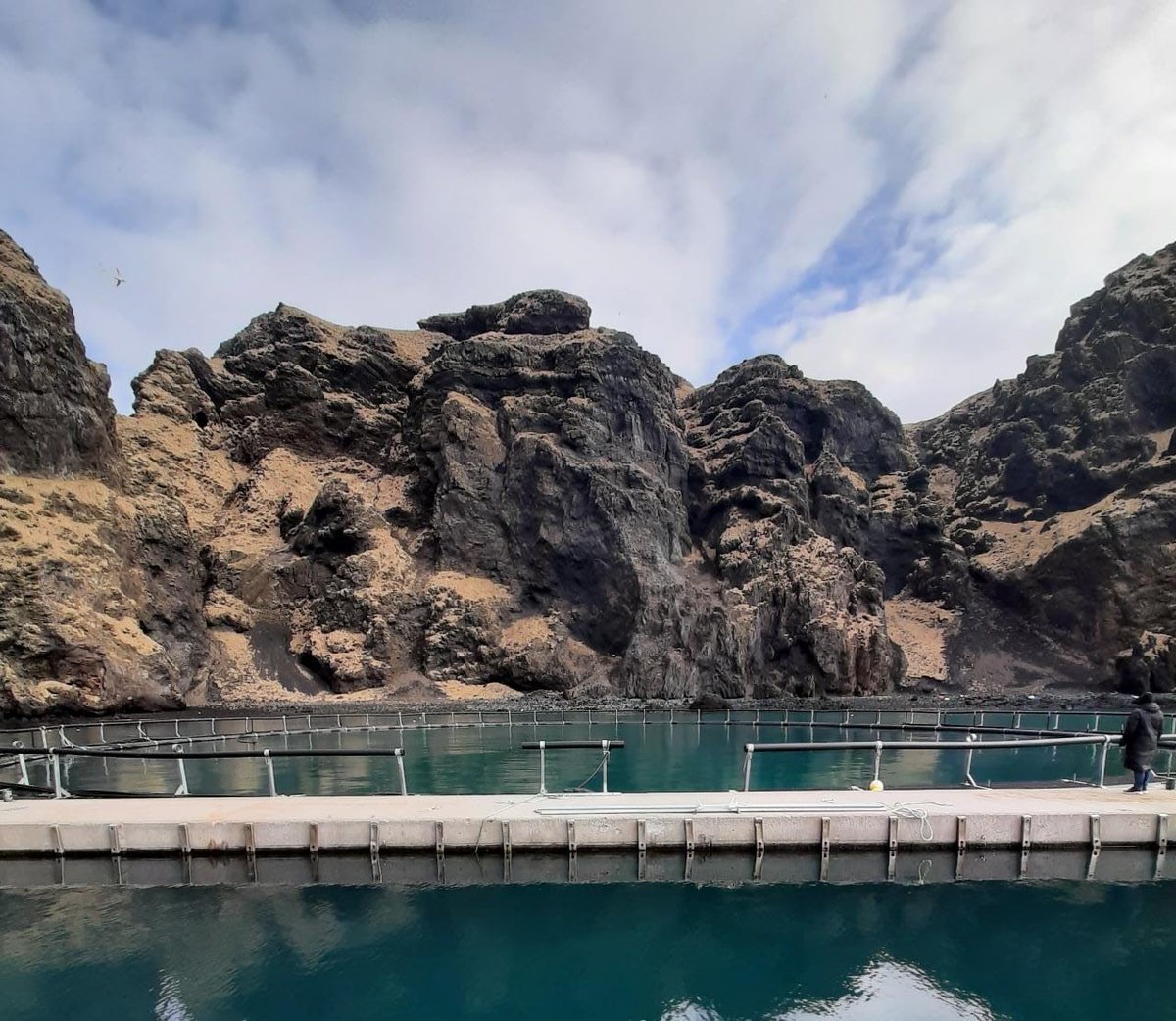 With the poorer weather forecast this week, we just wanted to share a quick reminder to guests to go careful when planning their journey to us here at the Sanctuary - and don't forget to check your travel before you leave! 💙