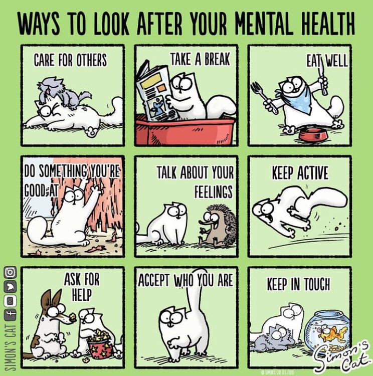 Transition Year (@stals_ty) on Twitter photo 