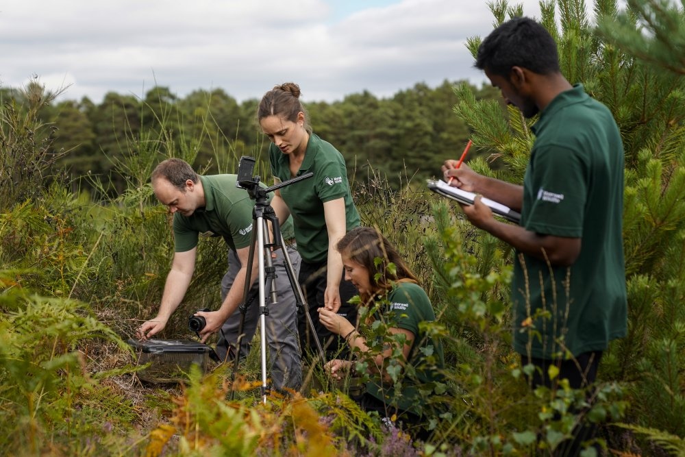 Marwellwildlife's tweet photo. We’ve been shortlisted for the Great British Wildlife Restoration competition!🤩

Read more: https://t.co/Au6uNGLQI0

We’re proud to be recognised for our Reintroduction of the UK’s rarest lizards to Southern England. You can support us by asking politicians to vote for us.🌍💚 https://t.co/GxXl5psNCy