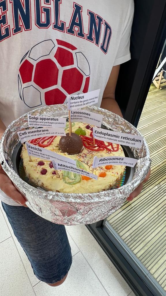 thegrangesch's tweet image. How amazing are these cell models from some of our new Year 7 students as part of their science homework! Wow! 👏👏
#wecan
#cellmodels 
#sciencehomework 
#studentwork 
#youngscientists 
#scienceisfun