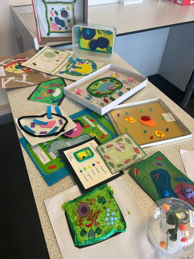 thegrangesch's tweet image. How amazing are these cell models from some of our new Year 7 students as part of their science homework! Wow! 👏👏
#wecan
#cellmodels 
#sciencehomework 
#studentwork 
#youngscientists 
#scienceisfun