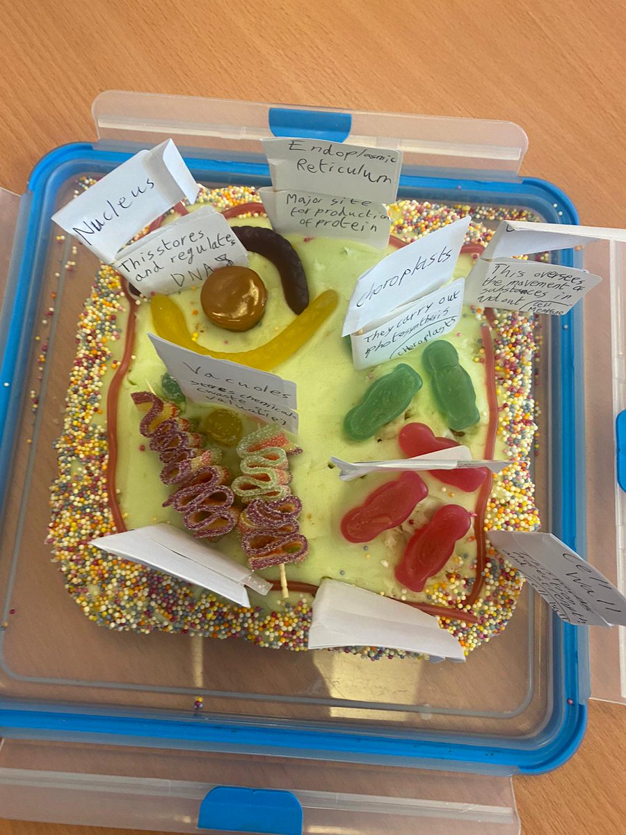 thegrangesch's tweet image. How amazing are these cell models from some of our new Year 7 students as part of their science homework! Wow! 👏👏
#wecan
#cellmodels 
#sciencehomework 
#studentwork 
#youngscientists 
#scienceisfun