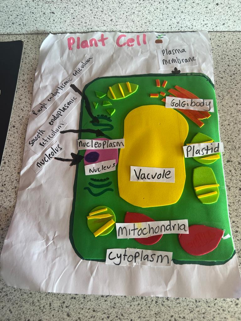 thegrangesch's tweet image. How amazing are these cell models from some of our new Year 7 students as part of their science homework! Wow! 👏👏
#wecan
#cellmodels 
#sciencehomework 
#studentwork 
#youngscientists 
#scienceisfun