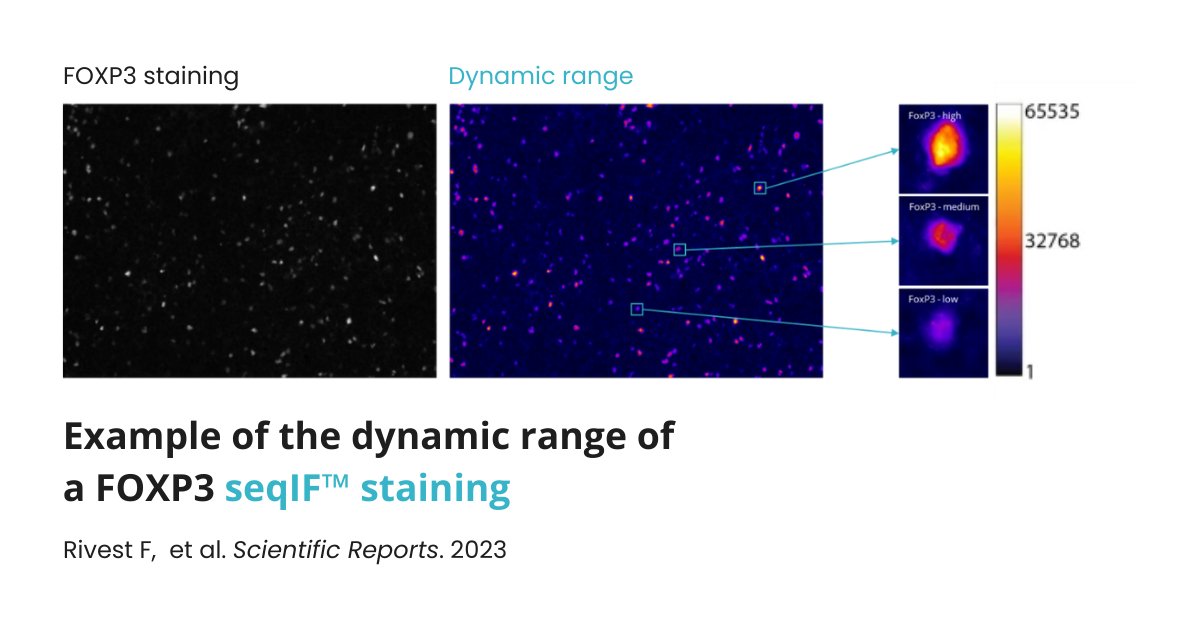 Hot of the press: our manuscript describing COMET™'s approach to multiplexing with fully automated sequential immunofluorescence (seqIF™) has just been published in Scientific Reports. Read the full study now: link.lunaphore.com/9wb