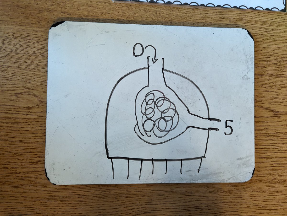 HeyMrsShea_'s tweet photo. Exploring number patterns in input/output tables today! We talked about operations happening inside a number machine and solving the mystery to find the rule or missing numbers. Love these visuals a few students made! https://t.co/B1gBjOGFfN