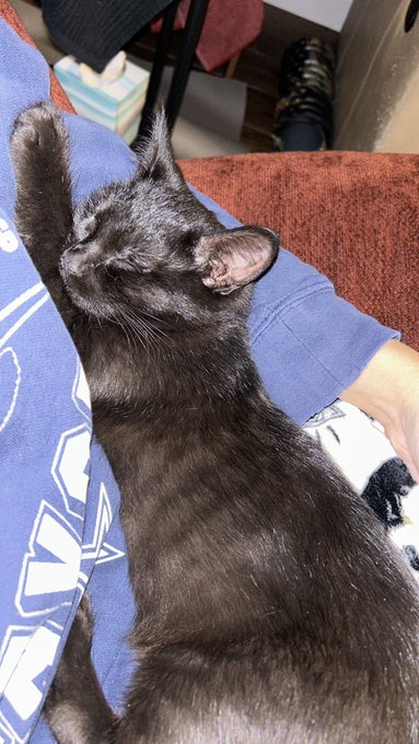 My little baby, Casper. I am so grateful that he chose my house to come to to get saved. I remember it