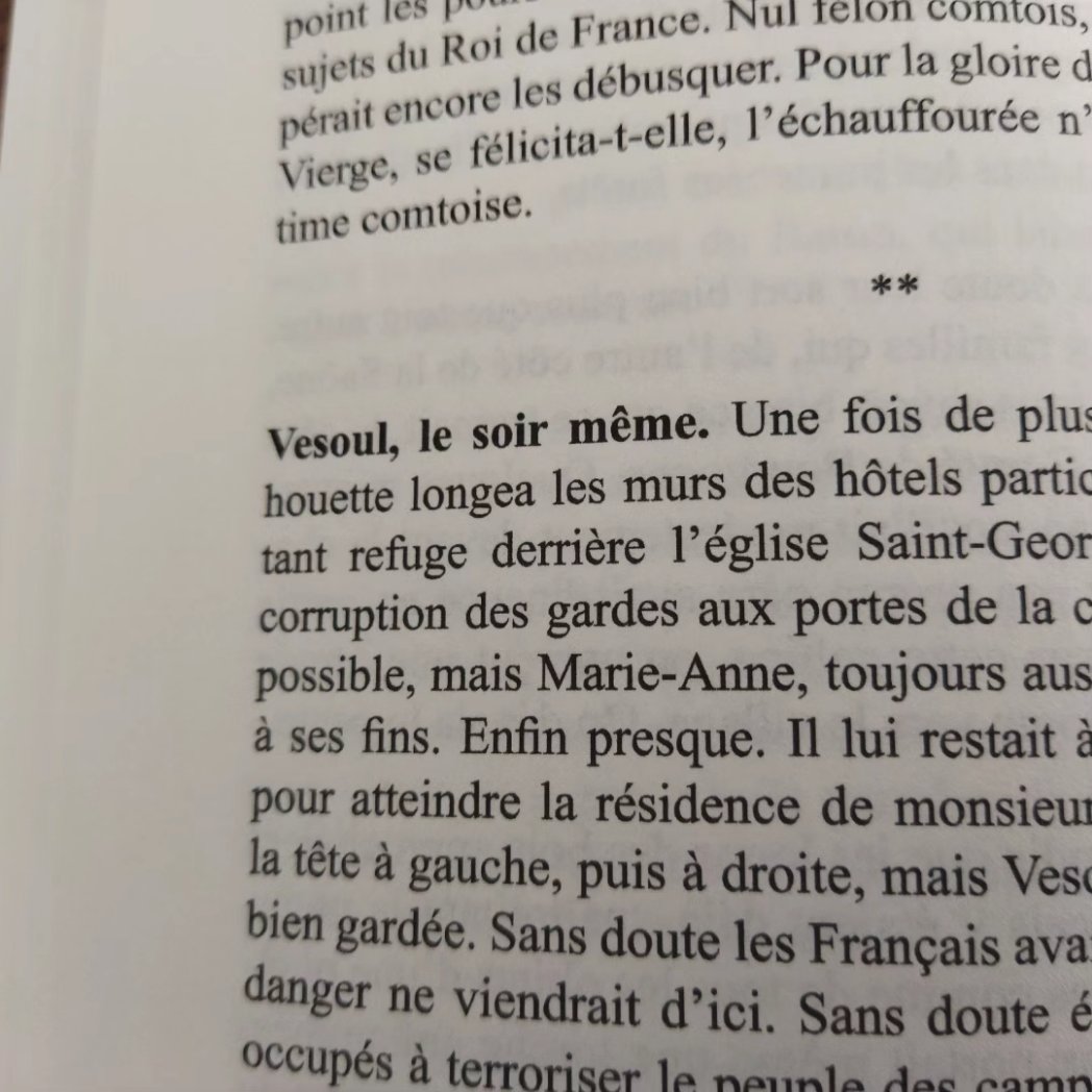Je serai au Salon du Livre de Vesoul, les 14 et 15 octobre, de 10h à 18h à l'Hôtel de Ville, pour y présenter mon roman LES LOUPS DES BOIS, une aventure qui plonge le lecteur dans la Franche-Comté du XVIIème siècle, y compris à Vesoul et dans sa région. #Vesoul #HauteSaône