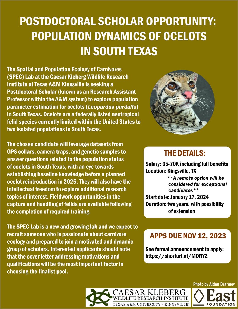 Lisanne Petracca tweet media