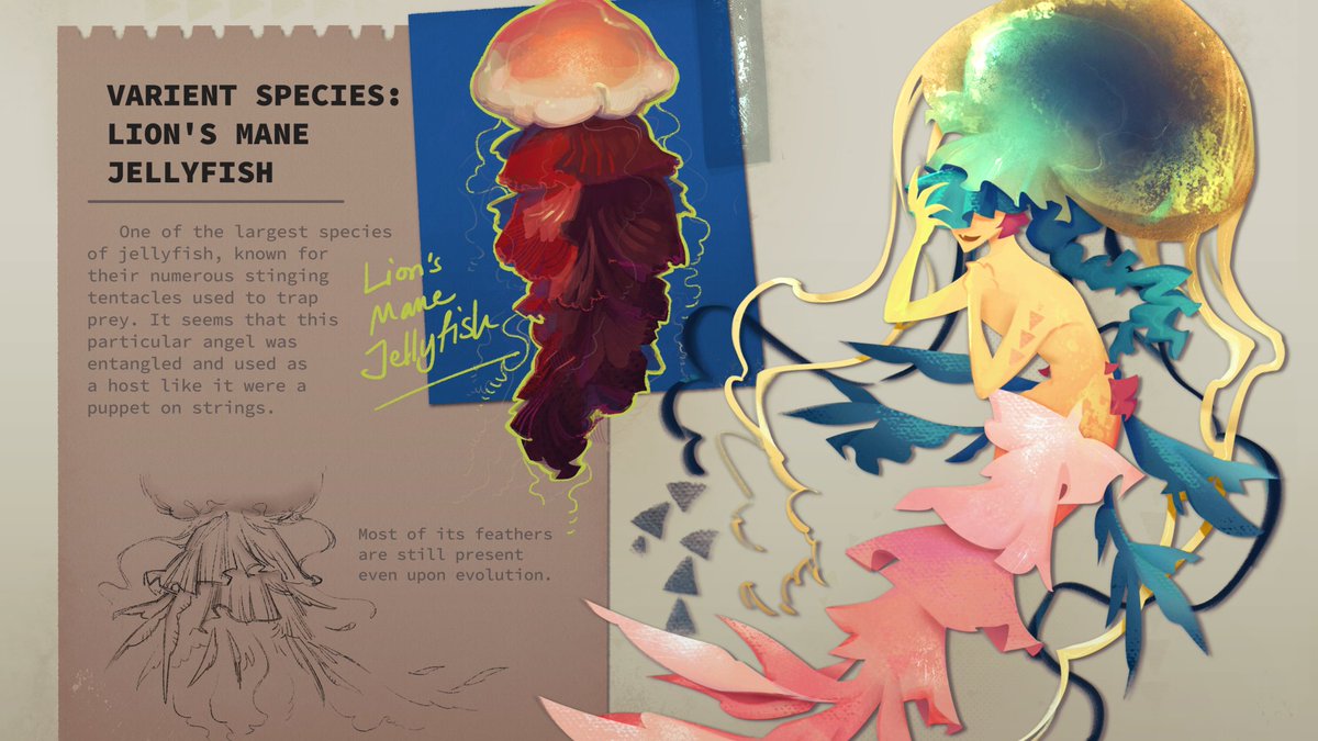 phafyu's tweet photo. Some snippets of the project I did this year, a little picture book encyclopedia based on sea creatures + angels 🐟️ https://t.co/0rOhdJi0J5