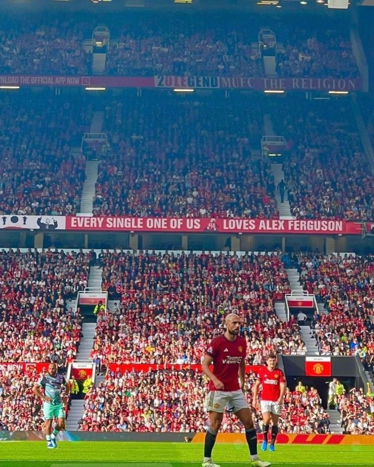 Comment IFB if you are looking to connect with more Manchester United / Footballl fans!

Like and retweet for others ❤️🔴

#MUFC