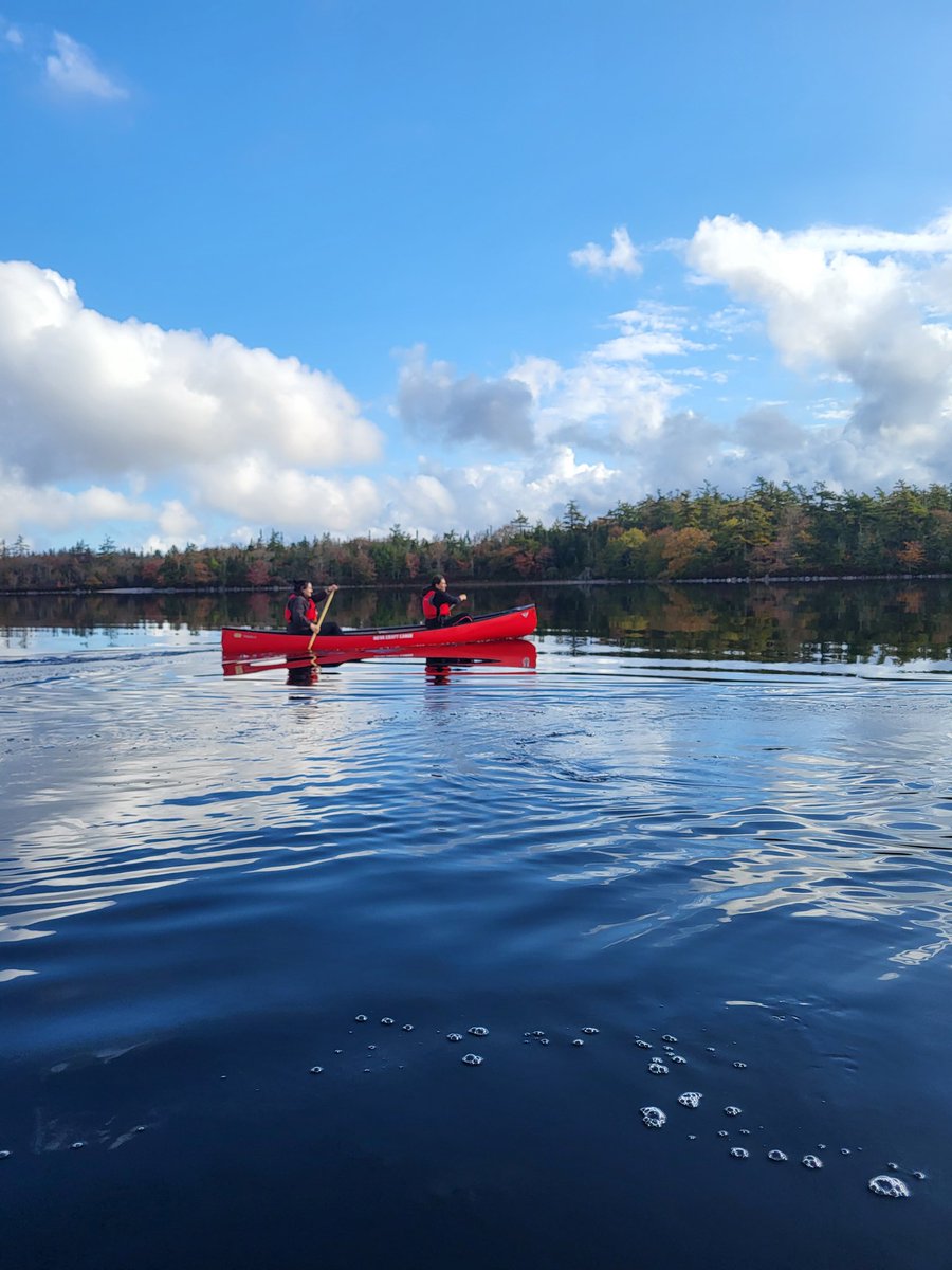 MrHollandBMHS's tweet photo. The water was calm and the sun was out at Beaverdam Lake this morning for our last canoe trip this fall. #BMHS #TCRCE #watchuslearn #canoeing https://t.co/1nA6wPPqSD