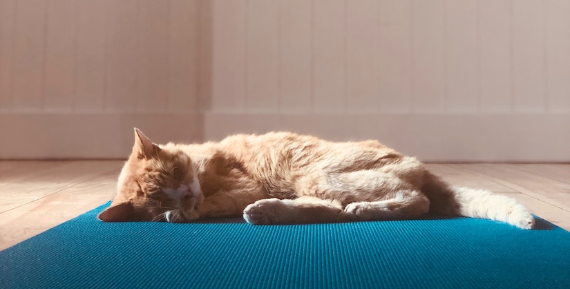 ReadableHQ's tweet image. The simple subject, in simple terms. Another Grammar 101! #Readability #Spelling #Grammar #Proofreading 
zurl.co/1rCM