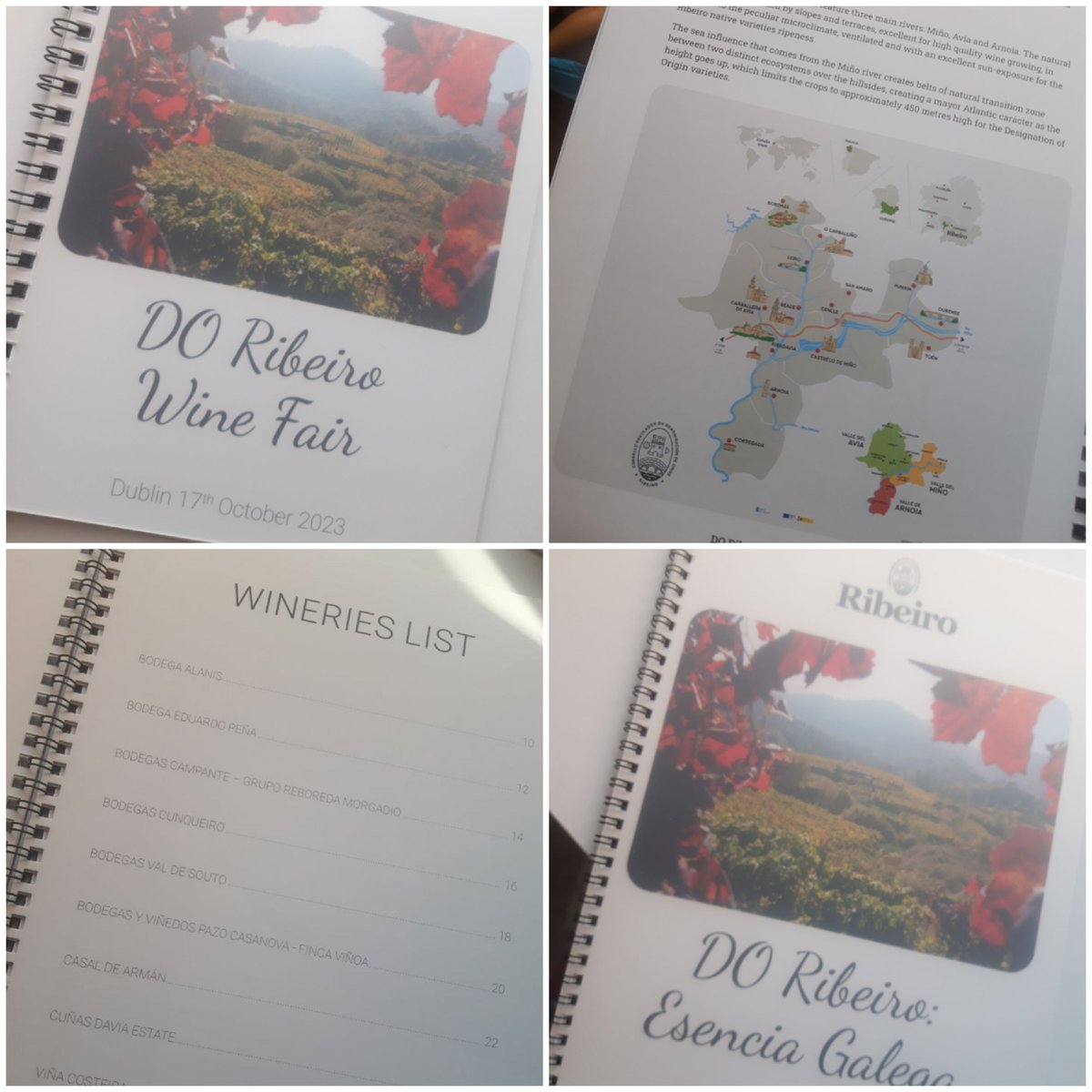 Ready to fly to #Dublin for <a href="/CRDO_Ribeiro/">D.O. Ribeiro</a> wine fair and masterclass. See you on 17th <a href="/GlassOfRedWine/">Cathal McBride</a> <a href="/winetastingire/">Winetastingireland</a> <a href="/winespiritwomen/">Wine Spirit Women</a> <a href="/LiamDrinksWines/">Liam Campbell</a>  <a href="/TheIrishWino/">Lorcan O'Brien</a> @LeCaveau1  @JulieDupouy1 <a href="/IrishGuildSomm/">IrishGuildSommeliers</a> <a href="/blancsvalencia/">Blanca Valencia</a> <a href="/CiaraOKelly1/">Ciara Leahy</a> @grapecircus <a href="/vinostito/">vinostito</a> <a href="/elywinebars/">ELY WINE</a>
