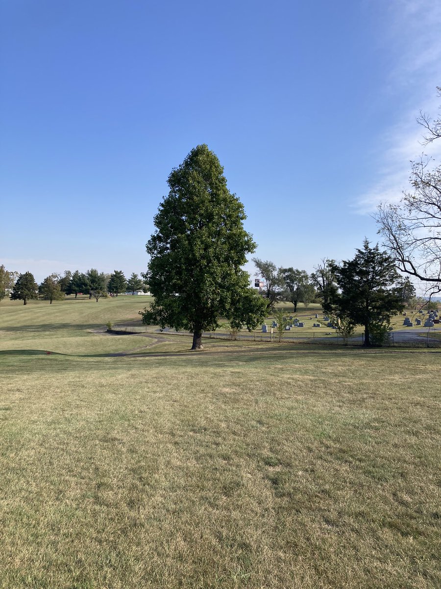 KurtBauche's tweet photo. The dreaded Cemetery on #6 at Leadbelt Golf Club in Bonne Terre. Last SEMO Seniors golf tournament of the season! #bonneterre #Golf #birdie #stfrancoiscounty https://t.co/hHhULZkUJk