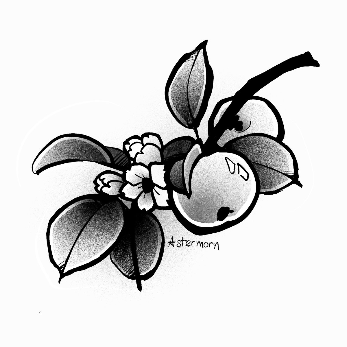 Astermorn's tweet photo. Day 11, apple https://t.co/2gZakBCgii