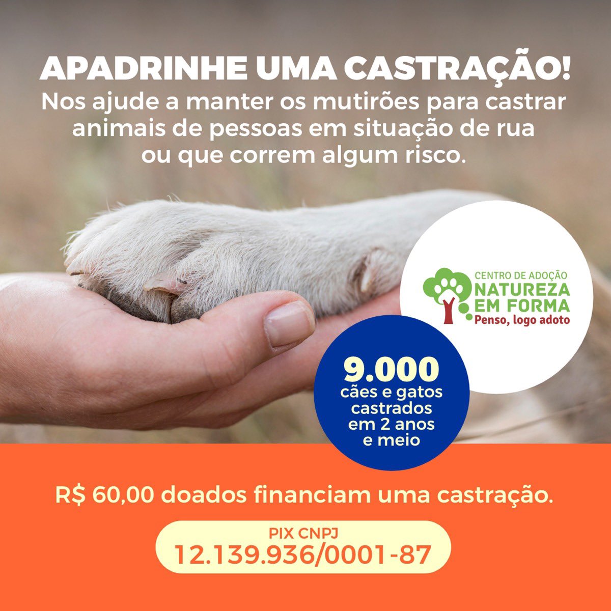 NaturezaEmForma's tweet photo. Antingimos a incrível meta de 9.000 castrações. ADOTE UMA CASTRAÇÃO!!! Nos ajude a continuar com este importante trabalho! Divulge, doe. Doe pelo pix ou cartão de crédito no link abaixo.
https://t.co/WjLrJB76zg
Chave Pix - CNPJ 12.139.936/0001-87 https://t.co/1VYUKgeXPH