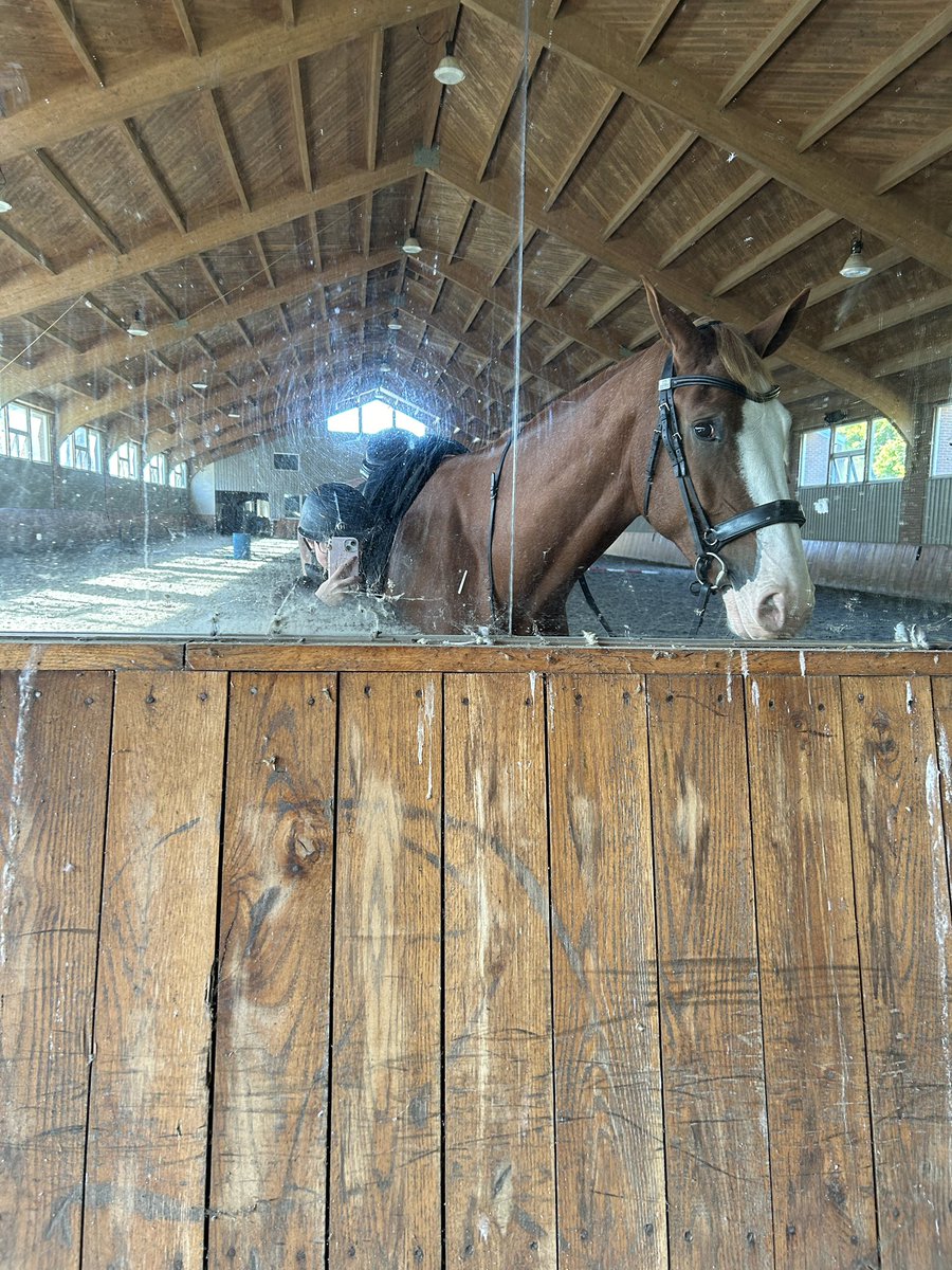 I feel like pictures don’t do justice to how tall he is lmao