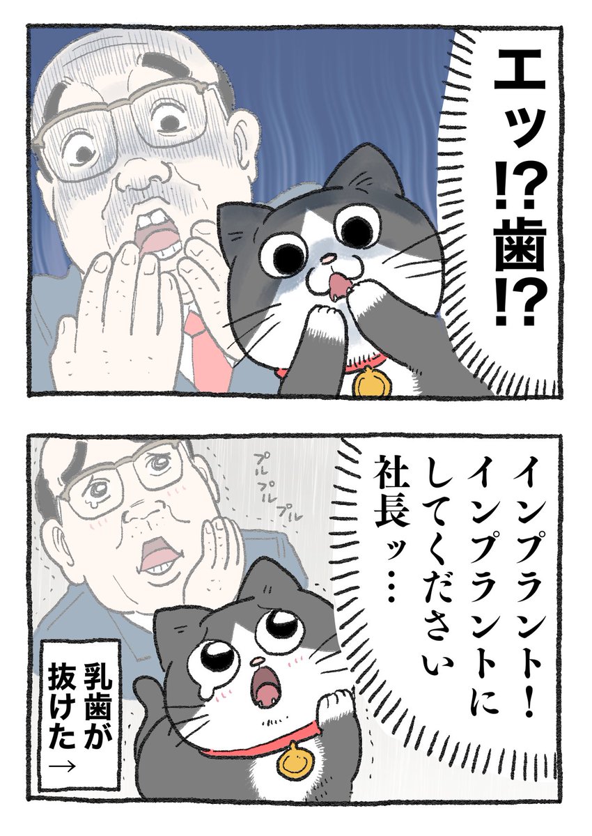 ねこに転生したおじさん。その249