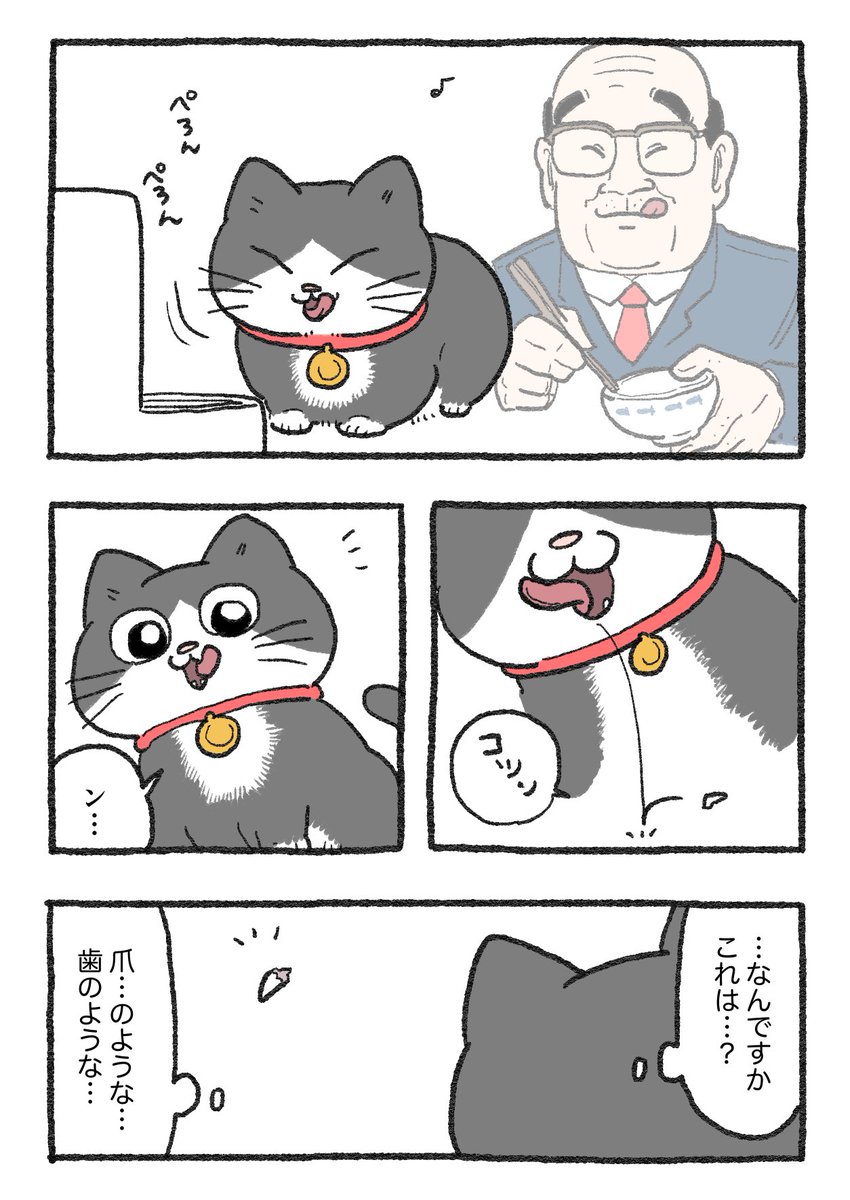 ねこに転生したおじさん。その249