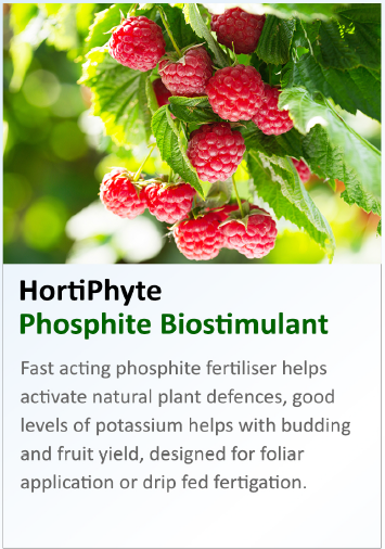 Potassium phosphite offers greater solubility and mobility within plants, leading to faster and more efficient uptake of phosphorus across leaf and root membranes.
Contact our Sales Managers for more info  
#horticulture #agronomy #hortifeeds #SoilHealth #fertiliser #fertilisers