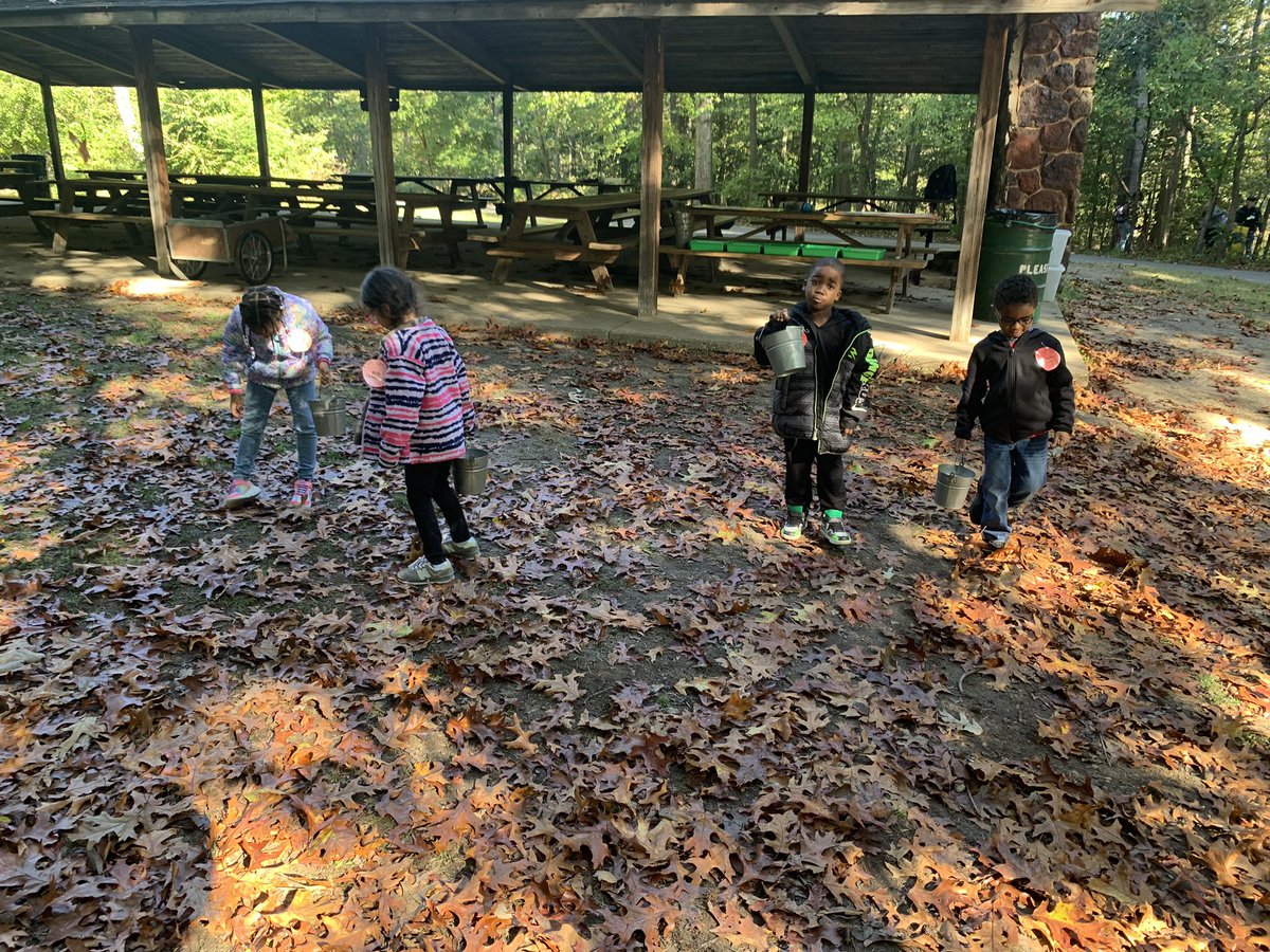 gbparkaacps's tweet photo. Our kindergartners are having a TERRIFIC time learning about TERRIFIC TREES at Downs Park! @AACountySchools @AEchoEnvEdAACPS #BelongGrowSucceed https://t.co/2NOyycCViz