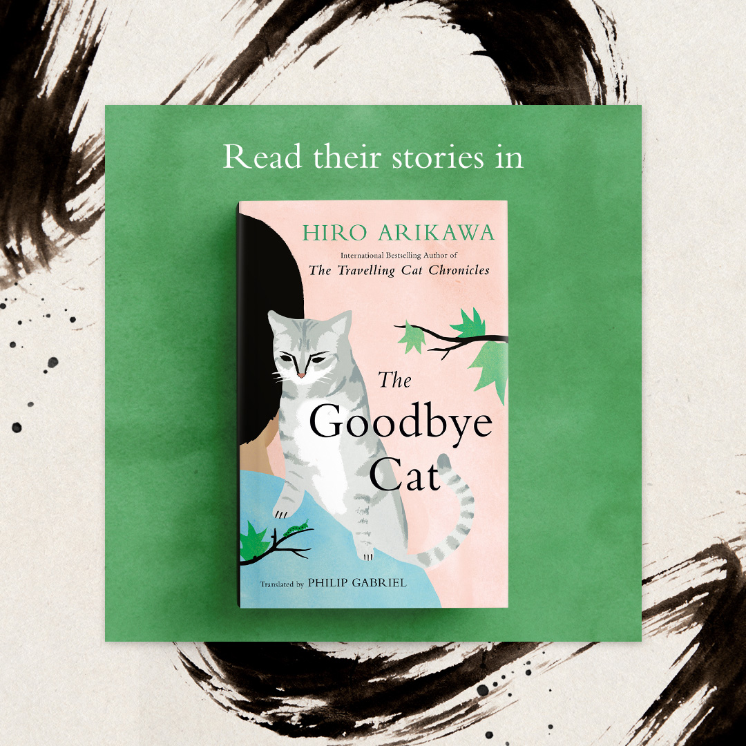 The Goodbye Cat [Book]