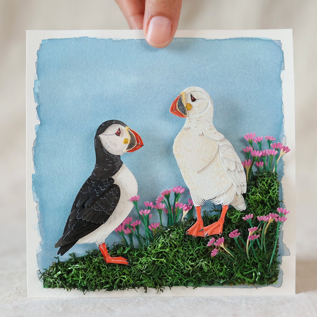 21/25 Atlantic Puffin with Albino Atlantic Puffin

Always wanted to make this bird in this beautiful blooms, they look so ethereal in this setup. Would love to see them in person some day. Hope you will like this artwork.

#birdart