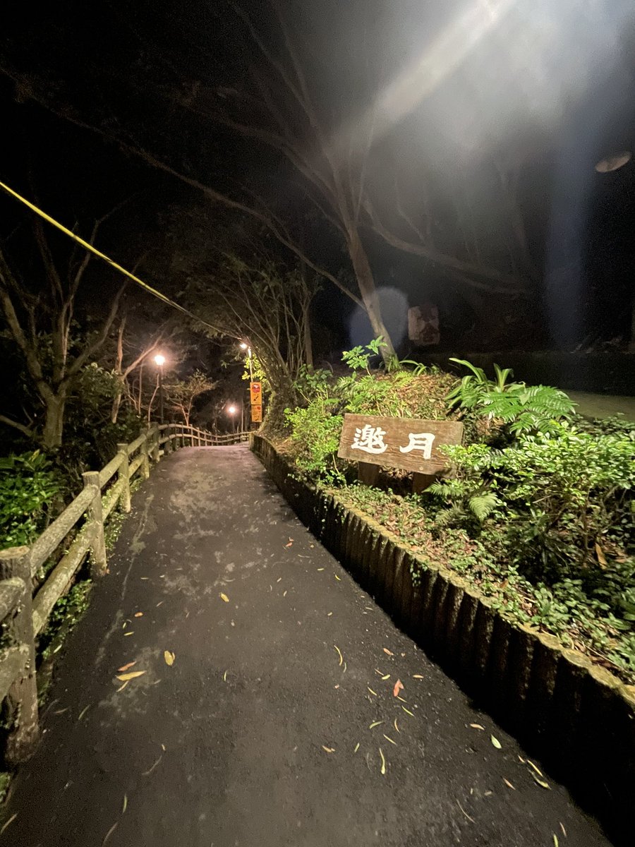 NirvanaEmperorX's tweet photo. 舉頭望明月
低頭喝茶葉
年輕人的體力
勉強還算年輕
#pullinganallnighter #tea #Maokong https://t.co/61yB5CwUZH