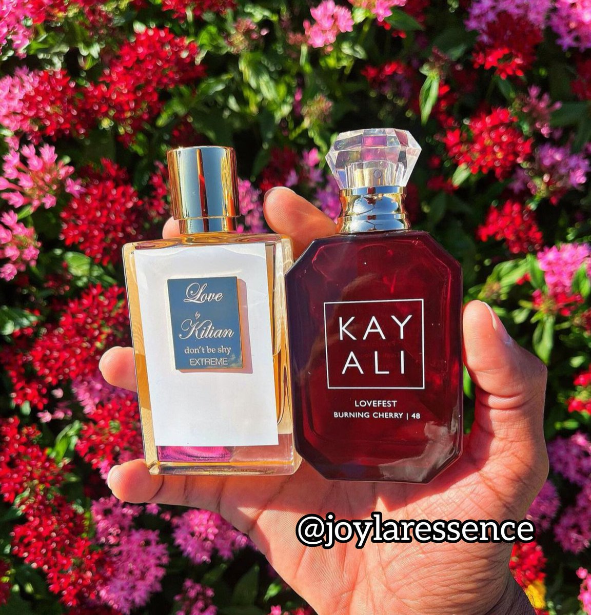 joylaressence's tweet photo. Fragrance, whether strong or delicate, is a highly subjective matter, and one gardener's perfume is another gardener's stink.

#perfumeboutique #perfume #perfumeoftheday #perfumecollections #perfumestore #perfumesoriginais #perfumetester #wedding_plan #bbtvi #Hamas #طوفان_الاقصى_ https://t.co/o7rzWFhc1s