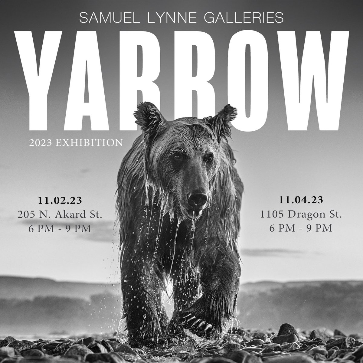YARROW | 2023 Exhibition.
November 2nd and 4th, 2023. 6-9PM
Free RSVP link in our bio. 

We're excited to announce that we will be showcasing Yarrow’s latest series and never-before-seen artworks at our gallery during this exhibition.