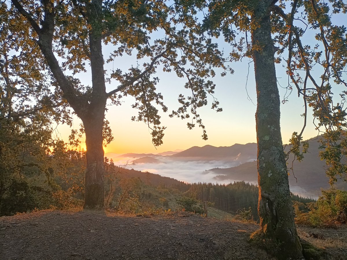 pagazauskas's tweet photo. Amanecer camino de Kolitza. Madrugar tuvo premio #kolitza #balmaseda #enkarterri #bizkaia #mendira #mendiak #euskalmendiak #trekking #monte #montaña #mountains #trailrunning #photography #photo #nature #naturaleza #fotografia #photooftheday https://t.co/hsvBI6oPF5
