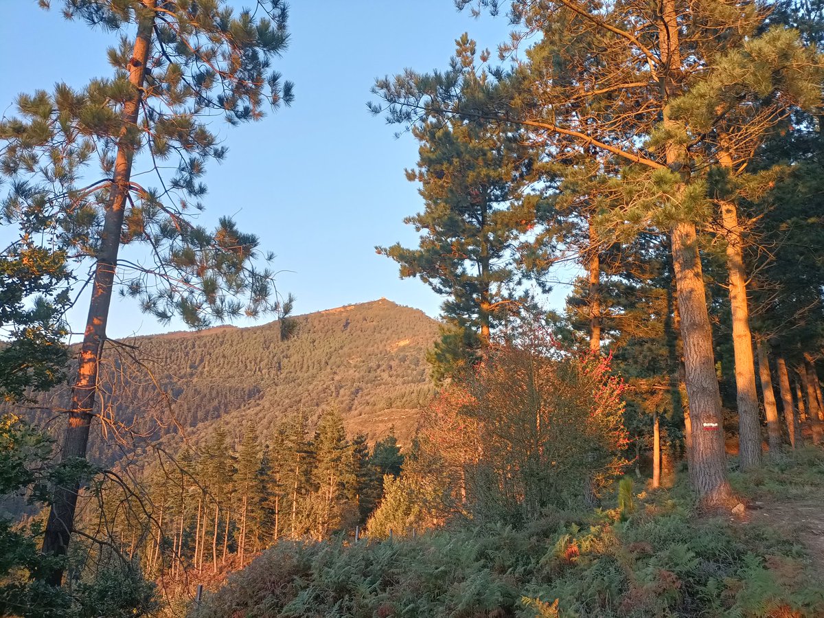 Amanecer camino de Kolitza. Madrugar tuvo premio #kolitza #balmaseda #enkarterri #bizkaia #mendira #mendiak #euskalmendiak #trekking #monte #montaña #mountains #trailrunning #photography #photo #nature #naturaleza #fotografia #photooftheday