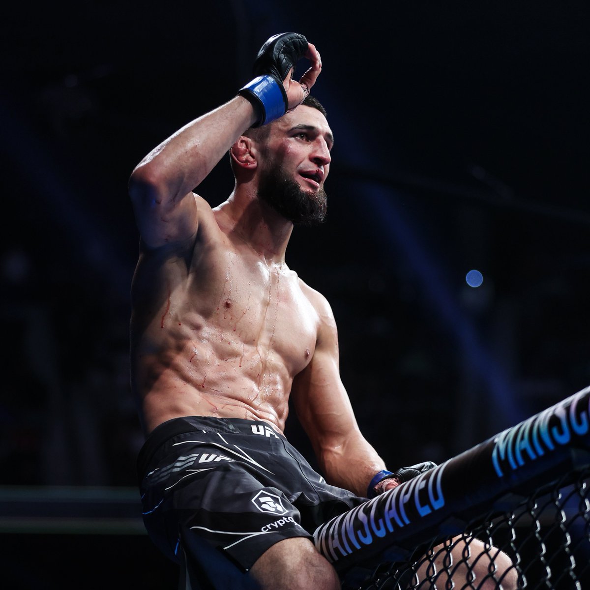 br_betting tweet media