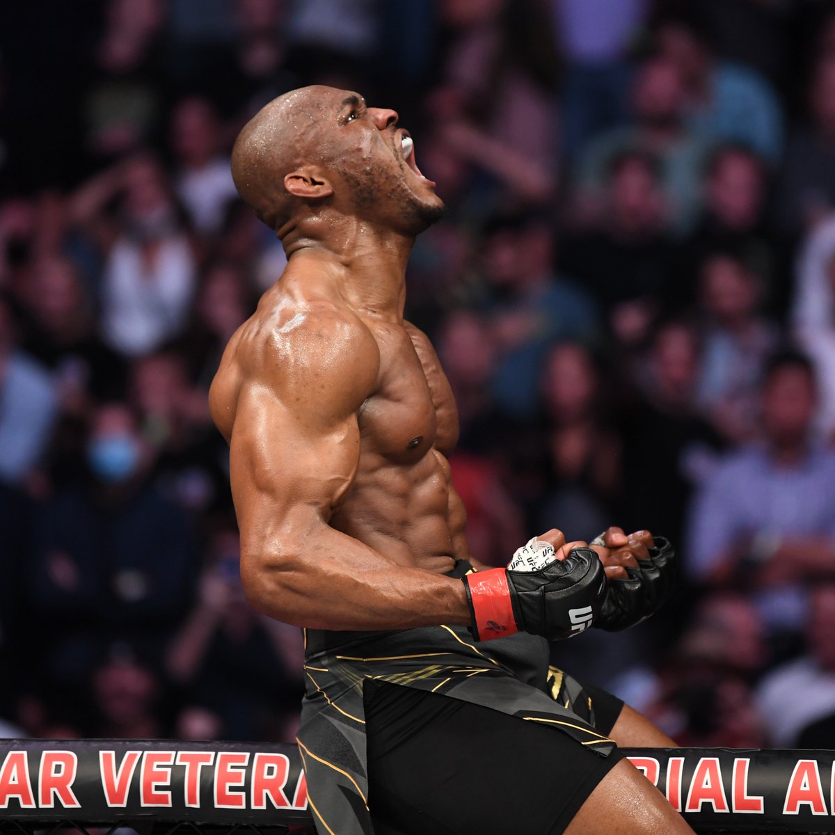 br_betting tweet media