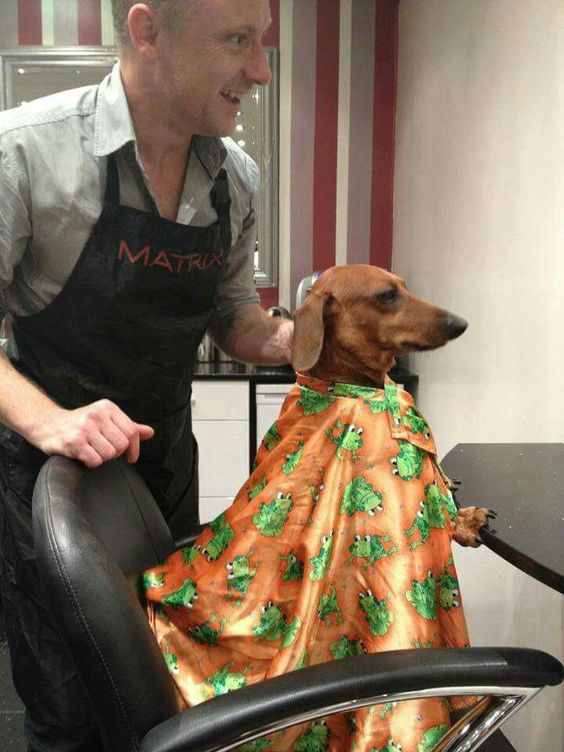 Ficando lindo pro feriadão