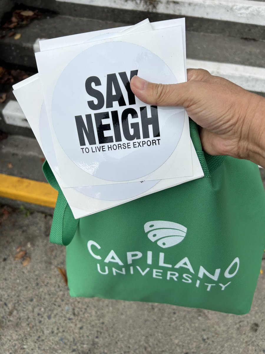 MayumiIzumi1's tweet image. While talking to students at #CapilanoUniversity I was told  that I am a girl version of #kensim ! I don’t see it! I’m of Japanese heritage &amp;amp; look nothing like him. I’m on @jannarden Army to STOP the #horseshit  LIVE EXPORT of Cdn Horses! @JustinTrudeau