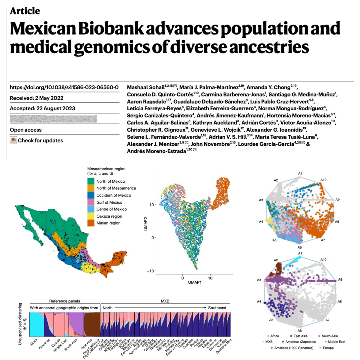 The MX Biobank paper is out today in @Nature! This is the first national-scale genomic database in Mexico and the largest independent project led by my lab @cinvestav since I returned to my home country to help building local capacity. rdcu.be/dojZ5