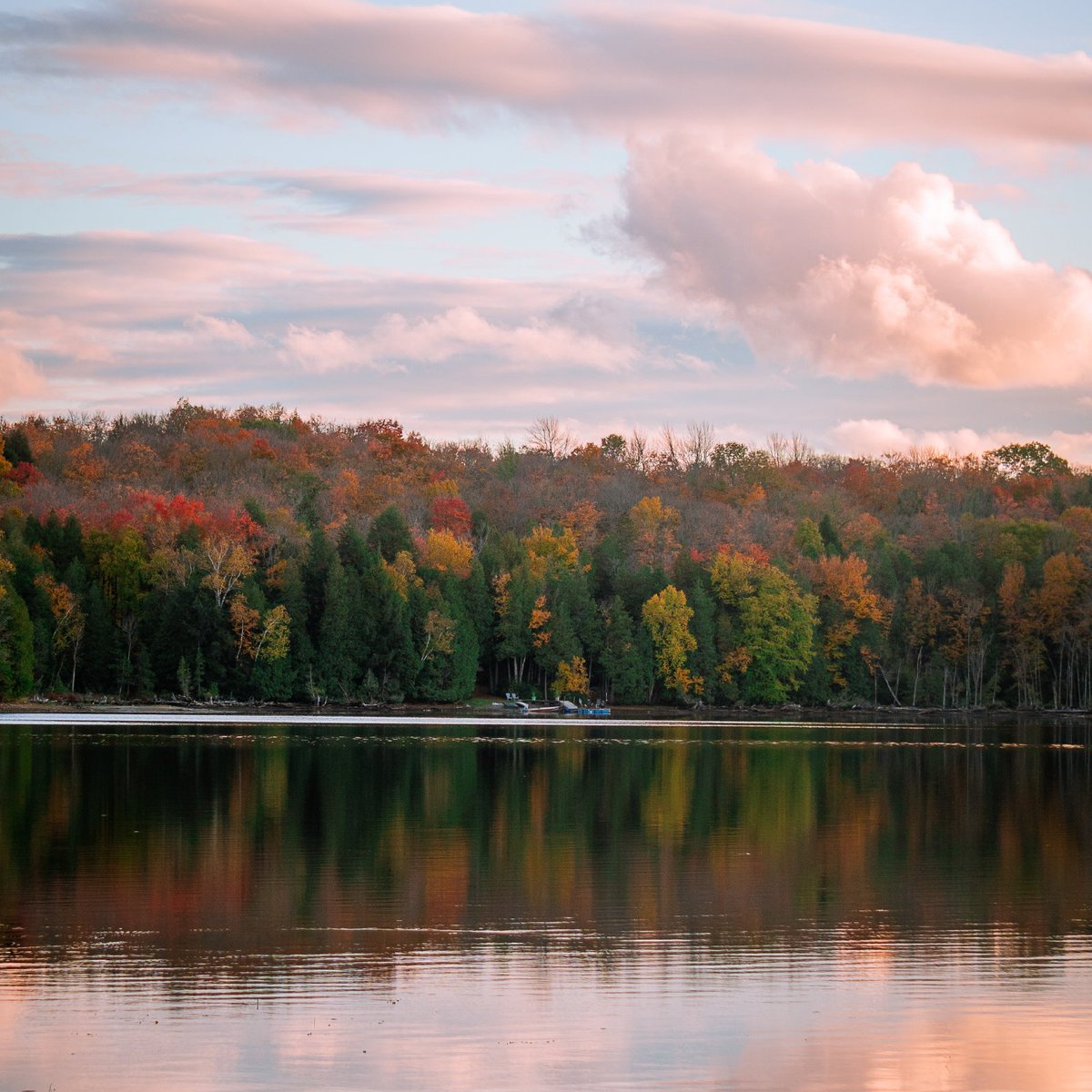 ONenvironment's tweet photo. Take a break from the online world and immerse yourself in the beauty of nature. ๐ฟ๐ This collection of stunning photos will transport you to a world beyond your screens. #NatureBreak #UnplugAndReconnect https://t.co/9WGq76ngnj