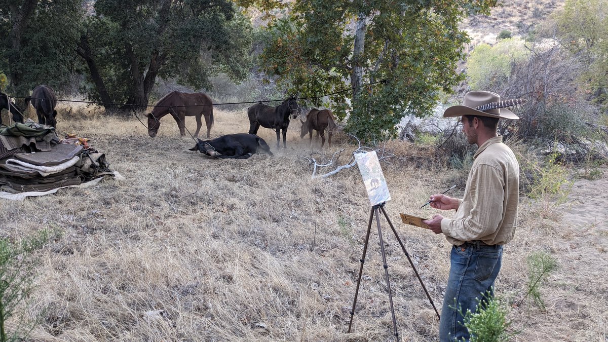 Channel Islands Restoration tweet media