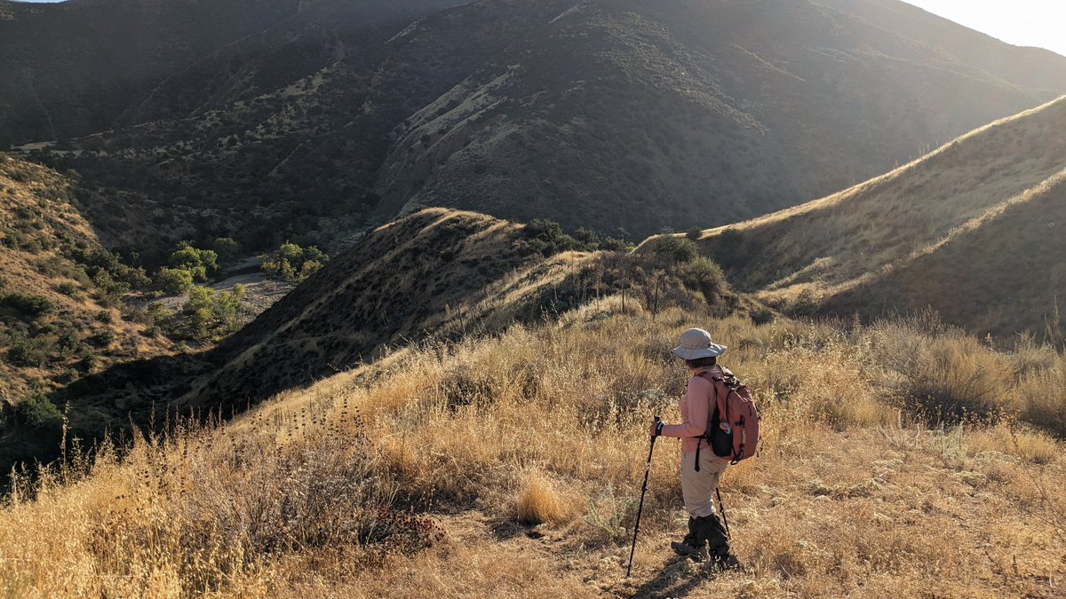 Channel Islands Restoration tweet media