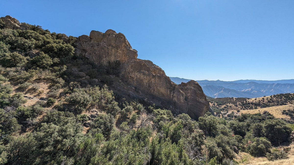 Channel Islands Restoration tweet media