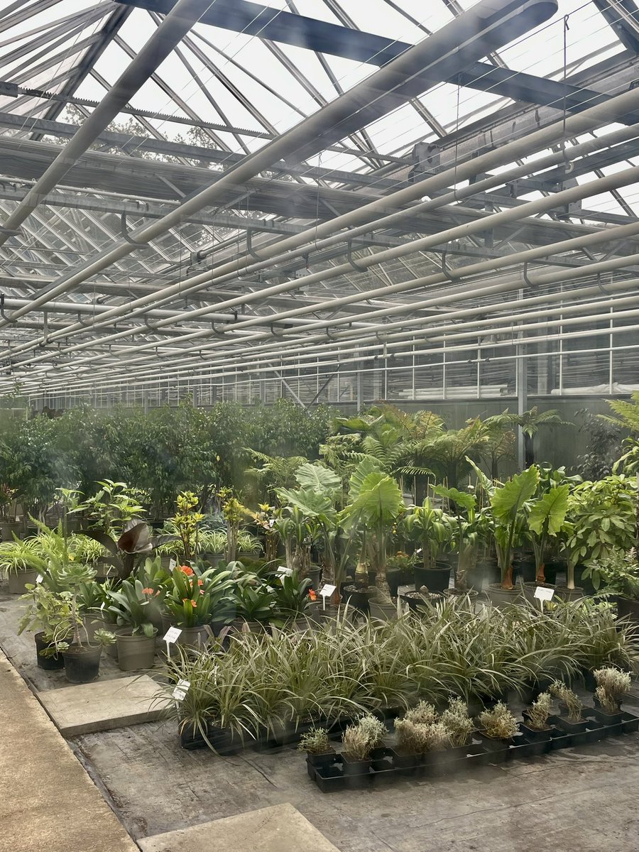Meanwhile Gardens Community Association (@meanwhilegdns) on Twitter photo A great day was had by all <a href="/theroyalparks/">The Royal Parks</a> Super Plant Nursery in Hyde Park with a fantastic seed planting workshop and pond dipping at The Lookout Education Centre 🌱🌺🦋🌳 #hydepark #theroyalparks #london #community #urbannature 🌿 A great day was had by all <a href="/theroyalparks/">The Royal Parks</a> Super Plant Nursery in Hyde Park with a fantastic seed planting workshop and pond dipping at The Lookout Education Centre 🌱🌺🦋🌳 #hydepark #theroyalparks #london #community #urbannature 🌿