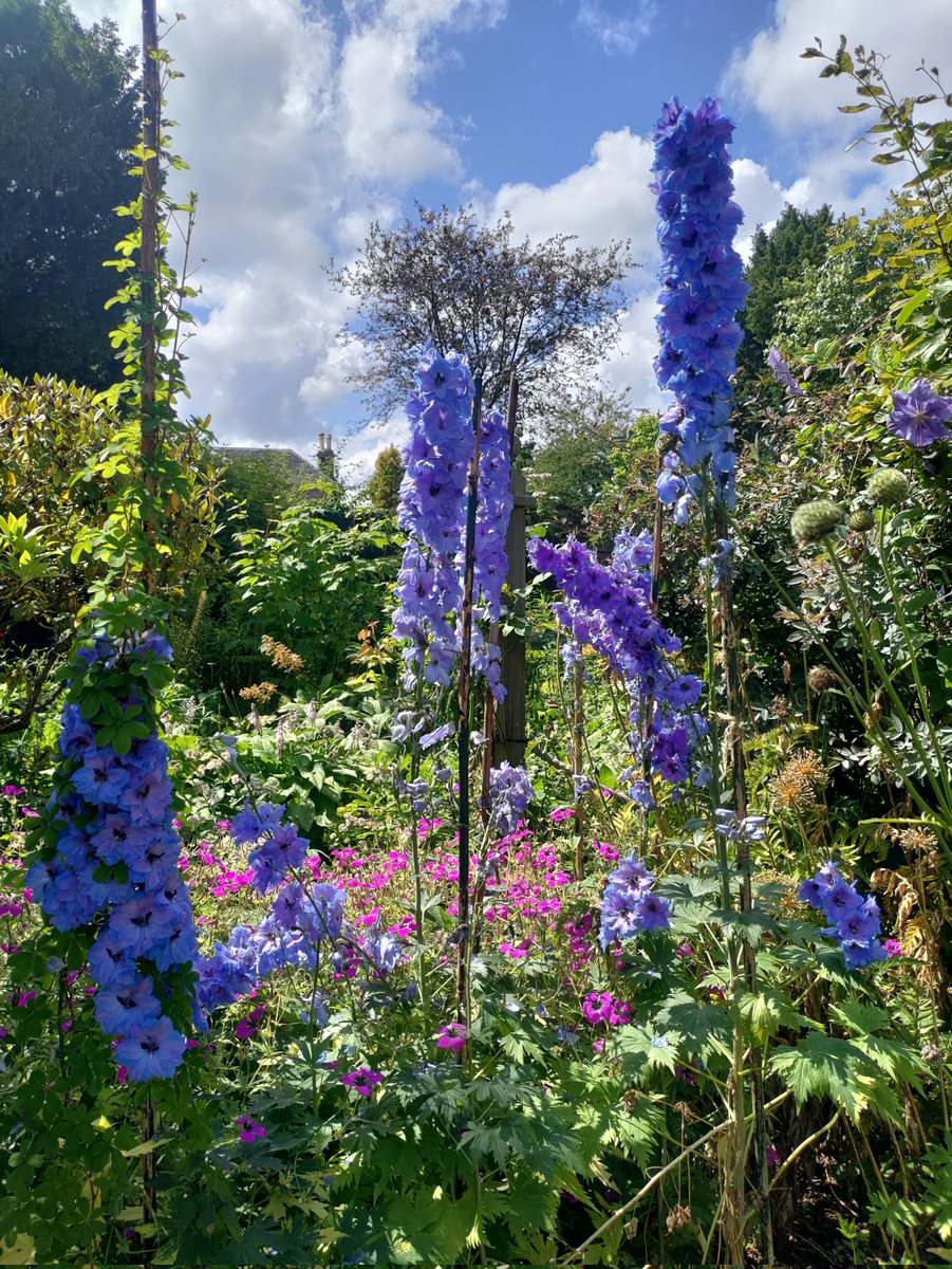 bakingmad63's tweet photo. @MrWhoCapture @earthcurated @viewsoff_ @ithefelizer @NatGeoPhotos @photography Late to the party but posting anyway! 😂 https://t.co/wpTLmGbwiL